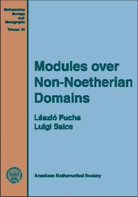 American Mathematical Society - Modules Over Non-noetherian Domains, Inbunden