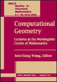 bokomslag Computational Geometry: Lectures at the Morningside Center of Mathematics