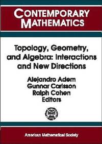 bokomslag Topology, Geometry, and Algebra: Interactions and New Directions