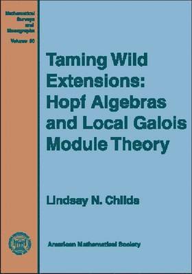 bokomslag Taming Wild Extensions: Hopf Algebras and Local Galois Module Theory