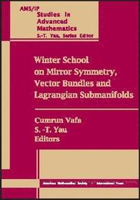 bokomslag Winter School on Mirror Symmetry, Vector Bundles and Lagrangian Submanifolds