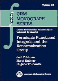 bokomslag Fermionic Functional Integrals and the Renormalization Group