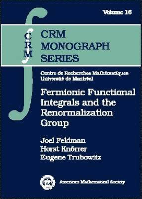 Fermionic Functional Integrals and the Renormalization Group
