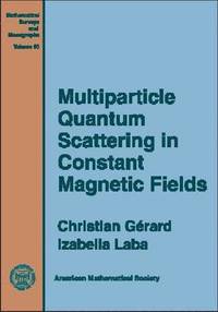 bokomslag Multiparticle Quantum Scattering in Constant Magnetic Fields