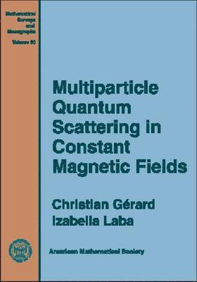 Multiparticle Quantum Scattering in Constant Magnetic Fields 1