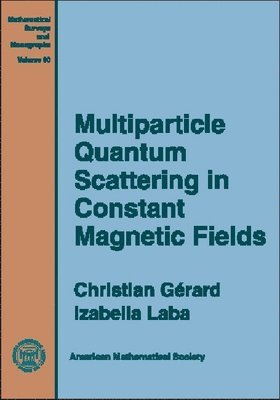 Christian Gerard, Izabella Laba - Multiparticle Quantum Scattering in Constant Magnetic Fields, Inbunden