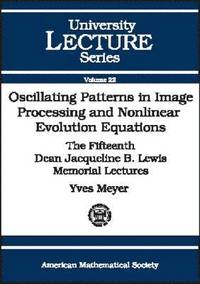bokomslag Oscillating Patterns in Image Processing and Nonlinear Evolution Equations: The Fifteenth Dean Jacqueline B. Lewis Memorial Lectures