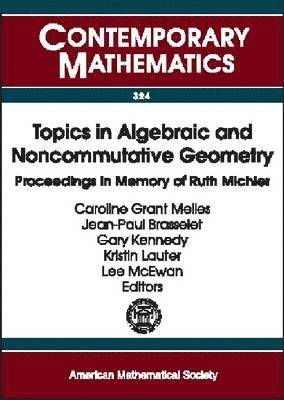 bokomslag Topics in Algebraic and Noncommutative Geometry: Proceedings in Memory of Ruth Michler