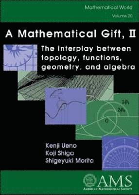 bokomslag A Mathematical Gift, II: The interplay between topology, functions, geometry, and algebra