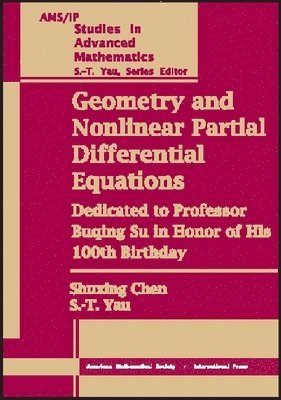 bokomslag Geometry and Nonlinear Partial Differential Equations