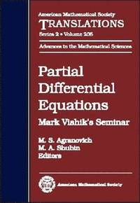 bokomslag Partial Differential Equations