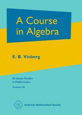 Ernest Borisovich Vinberg - Course in Algebra, Häftad