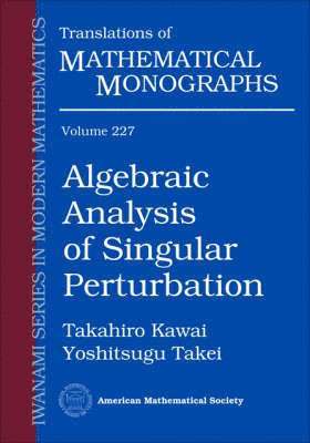 Algebraic Analysis of Singular Perturbation, Häftad