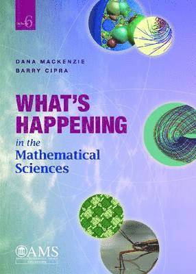 bokomslag What's Happening in the Mathematical Sciences, Volume 6