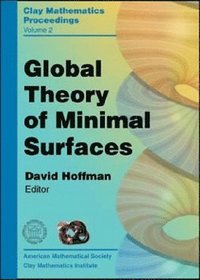 bokomslag Global Theory of Minimal Surfaces