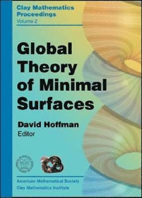 Global Theory of Minimal Surfaces 1