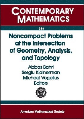 Noncompact Problems at the Intersection of Geometry, Analysis, and Topology, Häftad