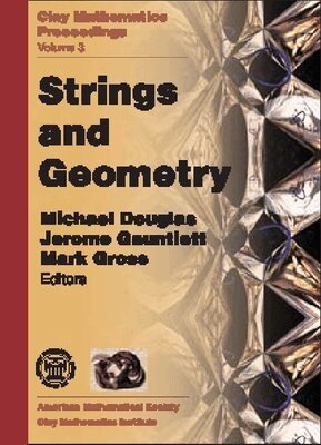 Michael Douglas, Jerome Gauntlett, Mark Gross - Strings and Geometry, Häftad
