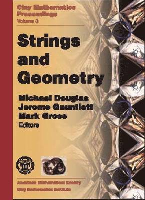 bokomslag Strings and Geometry