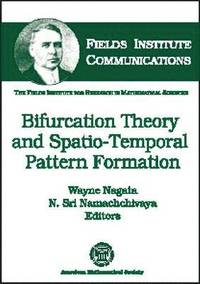bokomslag Bifurcation Theory and Spatio-Temporal Pattern Formation