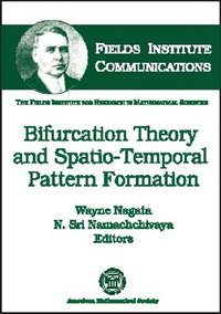 bokomslag Bifurcation Theory and Spatio-temporal Pattern Formation