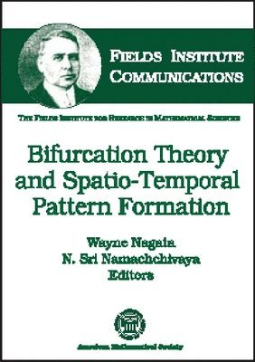 bokomslag Bifurcation Theory and Spatio-temporal Pattern Formation