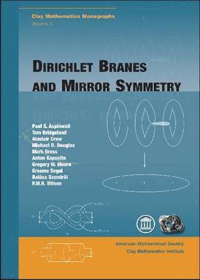 bokomslag Dirichlet Branes and Mirror Symmetry