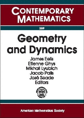 bokomslag Geometry and Dynamics