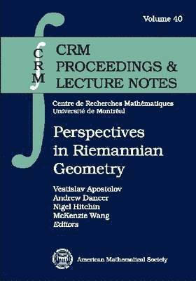 Vestislav Apostolov, Andrew Dancer, Nigel Hitchin, McKenzie Wang - Perspectives in Riemannian Geometry, Häftad