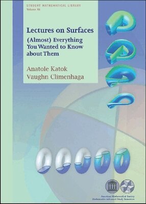 Anatole Katok, Vaughn Climenhaga - Lectures on Surfaces, Häftad