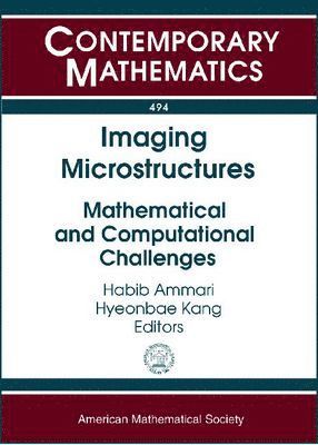 bokomslag Imaging Microstructures