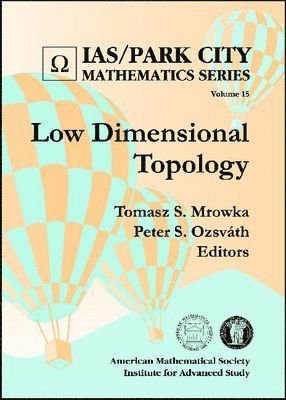 Low Dimensional Topology, Inbunden