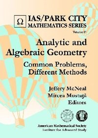 bokomslag Analytic and Algebraic Geometry