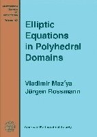 bokomslag Elliptic Equations in Polyhedral Domains