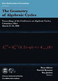 bokomslag Geometry of Algebraic Cycles