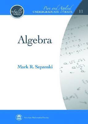 Mark A. Sepanski - Algebra, Inbunden