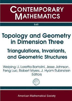 bokomslag Topology and Geometry in Dimension Three