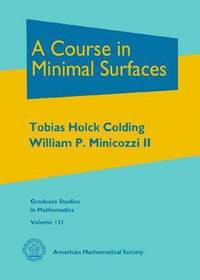 bokomslag A Course in Minimal Surfaces