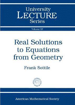 bokomslag Real Solutions to Equations from Geometry