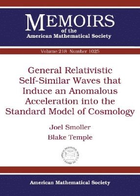 bokomslag General Relativistic Self-Similar Waves that Induce an Anomalous Acceleration into the Standard Model of Cosmology