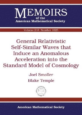 General Relativistic Self-Similar Waves that Induce an Anomalous Acceleration into the Standard Model of Cosmology