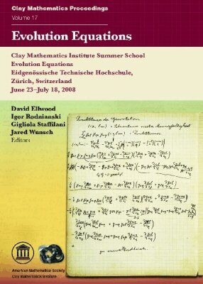 David Ellwood, Igor Rodnianski, Gigliola Staffilani, Jared Wunsch - Evolution Equations, Häftad