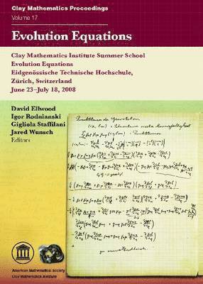 David Ellwood, Igor Rodnianski, Gigliola Staffilani, Jared Wunsch - Evolution Equations, Häftad