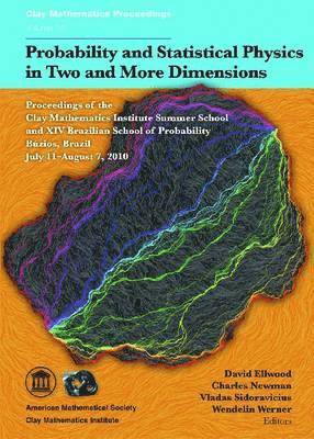 Probability and Statistical Physics in Two and More Dimensions 1