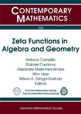 bokomslag Zeta Functions in Algebra and Geometry