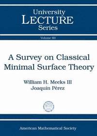 bokomslag A Survey on Classical Minimal Surface Theory