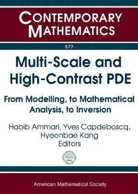 bokomslag Multi-Scale and High-Contrast PDE