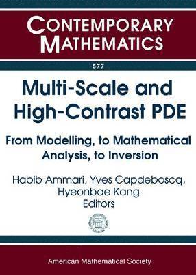 Multi-Scale and High-Contrast PDE 1