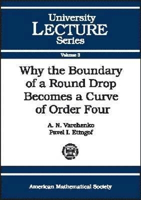 bokomslag Why the Boundary of a Round Drop Becomes a Curve of Order Four