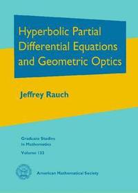 bokomslag Hyperbolic Partial Differential Equations and Geometric Optics